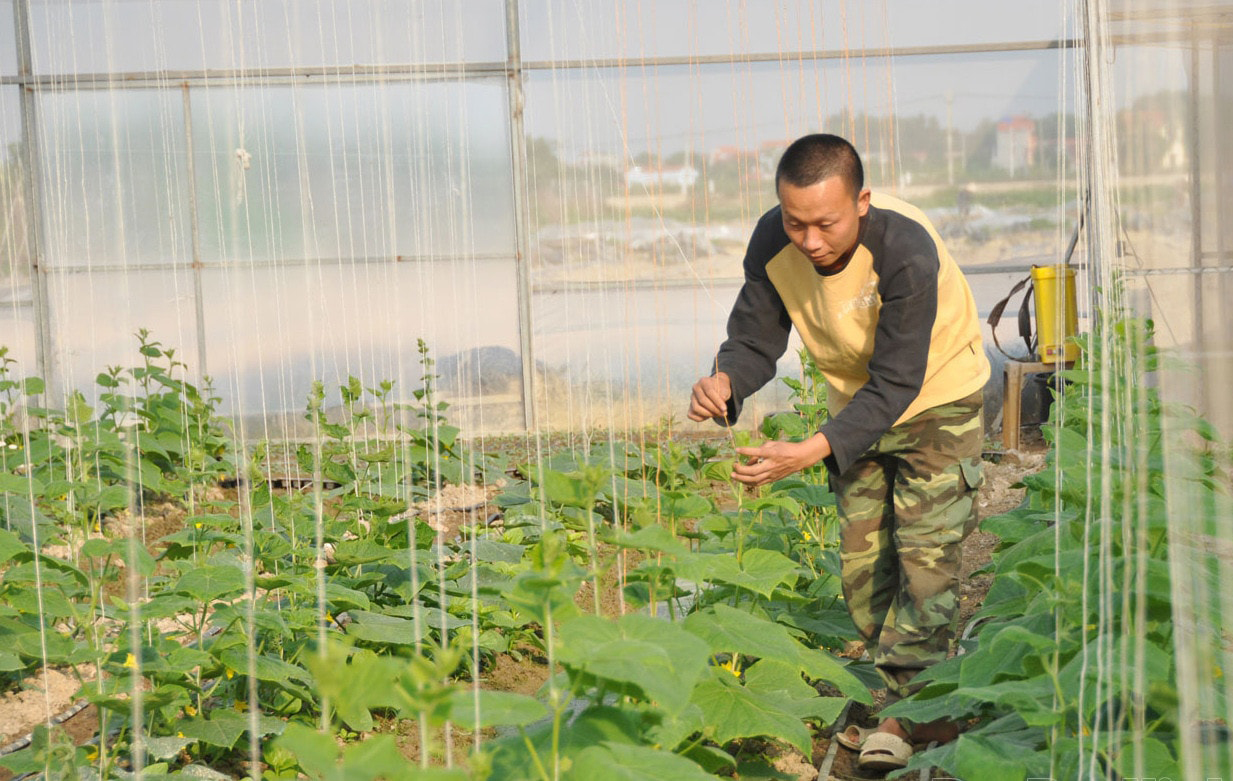 Tập huấn chuyển đổi số cho HTX